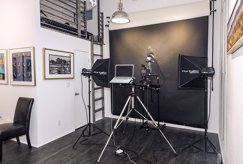 The Photography Area