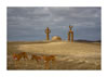 NCLSUN_30_Sculpture_dogs_in_the_Aricia_Desert